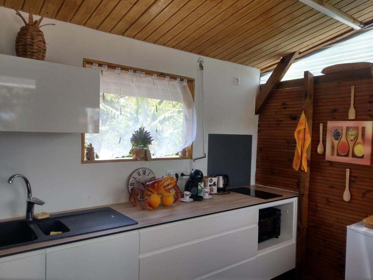 S'Cale Tropikal - Gite Cosy Avec Piscine Privee Petit-Canal エクステリア 写真